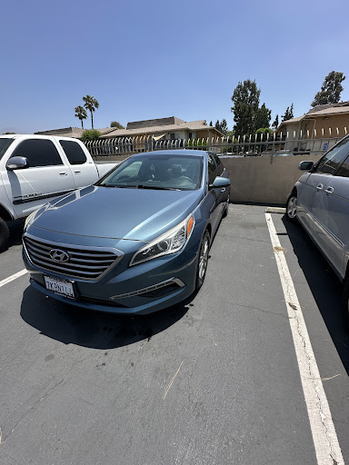 Photo from customer review