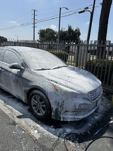 Photo from customer review
