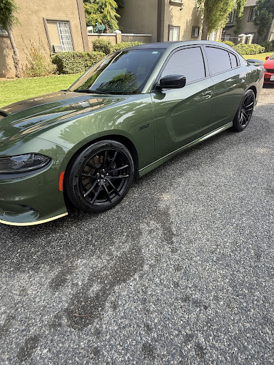Photo from customer review